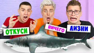 a4 - ЭКСТРЕМАЛЬНЫЙ ОТКУСИ, ЛИЗНИ или НИЧЕГО ЧЕЛЛЕНДЖ !