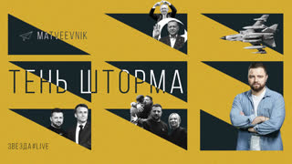 Тень шторма