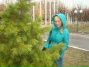 Фотография Шепелёвой Олеси