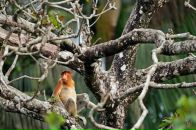 Юлія Оприск фотография #32 (источник - https://vk.com/id67968523)