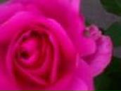 Олег Літвін фотография #44 (источник - https://vk.com/id167122010)