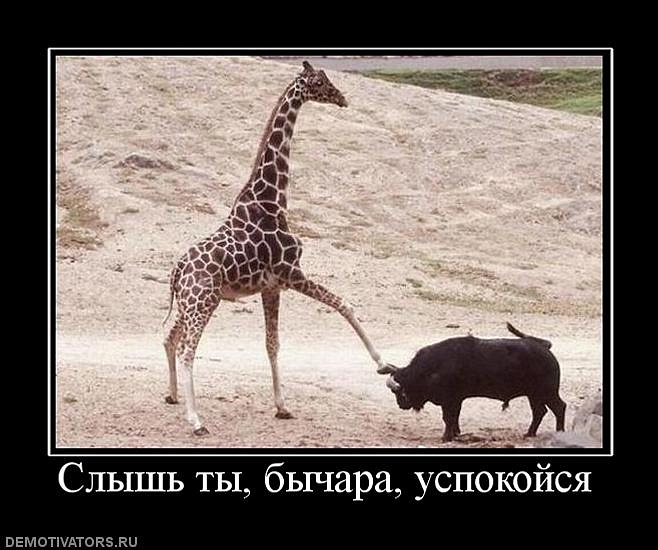 M@c@R Черненко фотография #21