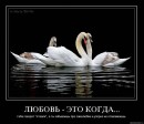 Вікочка Шелемба фотография #31 (источник - https://vk.com/id70260429)