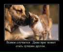 Марія Володимирівна фотография #50 (источник - https://vk.com/id136221226)