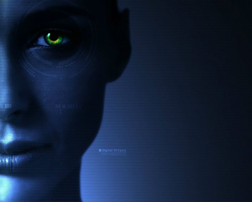 Дмитрий Тишко фотография #3