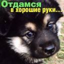Юрій Романко фотография #32 (источник - https://vk.com/id71376054)