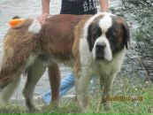 Алінчик Стадник фотография #36 (источник - https://vk.com/id66733784)