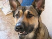 Фотография Чудовской Натальи