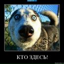 Фотография Игнатова Николая