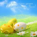 Фотография Соколов Денис