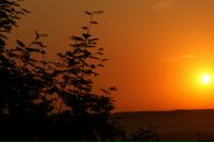 Рамиль Хамадеев фотография #34 (источник - https://vk.com/id4600244)