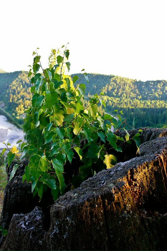 Иван Просоедов фотография #31