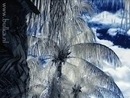 Віталік Ірисов фотография #20 (источник - https://vk.com/id96909695)