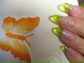 Олеандр Синий фотография #47 (источник - https://vk.com/id261522)