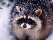 Фотография Жидкина Вячеслава