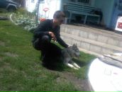 Фотография  