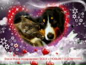 Фотография Ажажи Светланы