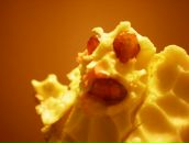 Фотография Савковича Евгения