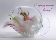 Фотография Мирошниковой Анны