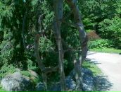 Міша Тригуб фотография #18 (источник - https://vk.com/id33896452)