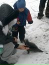 Інна Урдейчук фотография #23 (источник - https://vk.com/id41893511)