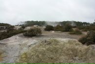 Александр Онищенко фотография #26 (источник - https://vk.com/id1753660)