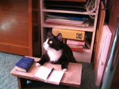 Danika Danja фотография #24 (источник - https://vk.com/id173994)