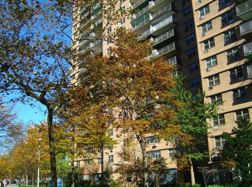 Iola Podop фото №4