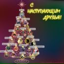 Фотография Шамариной Анны