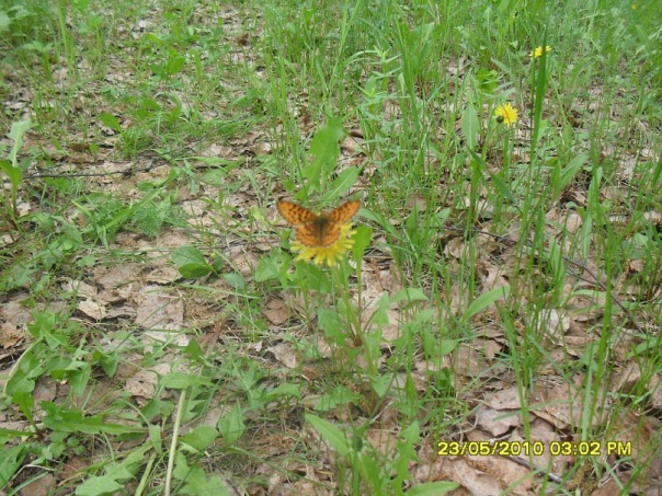 Сергей Сергеев фото №7