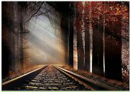 Фотография Быкова Евгения