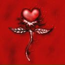 Anna Иванова фотография #2 (источник - https://vk.com/id2322975)