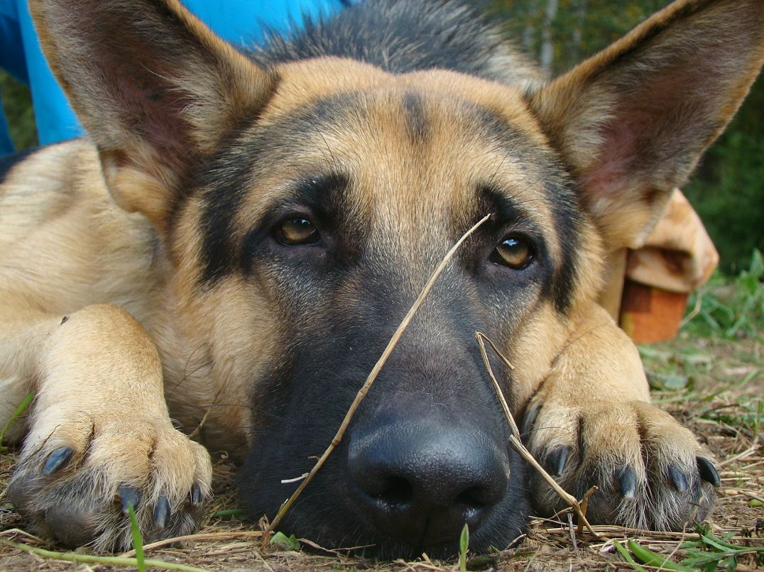 Андрей Кубышкин фотография #50