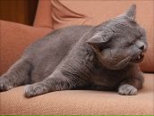 Фотография Семеновой Александры