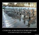Фотография Зуевой Евгении
