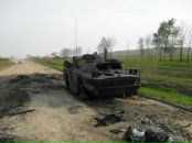 Дмитрий Утев фотография #19 (источник - https://vk.com/id890345)