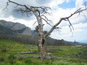 Дарія Василевська фотография #24 (источник - https://vk.com/id10233208)