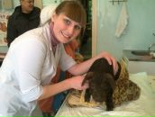 Фотография Калмыковой Анны