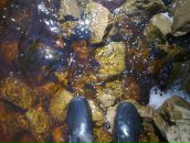 Фотография Алексеевой Елены