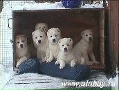 Діма Нікітін фотография #50 (источник - https://vk.com/id38752740)