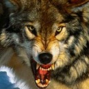 Саня Кондратюк фотография #36 (источник - https://vk.com/id64647350)