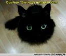 Євген Стасишин фотография #7 (источник - https://vk.com/id194218278)