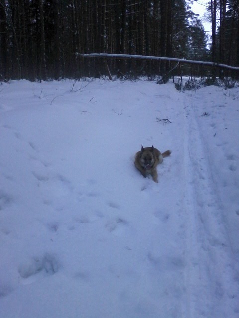 Дмитрий Щепков фотография #35