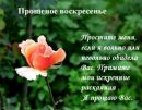 Фотография Татьяна Серова