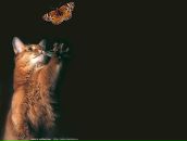 Фотография Морозовой Светланы