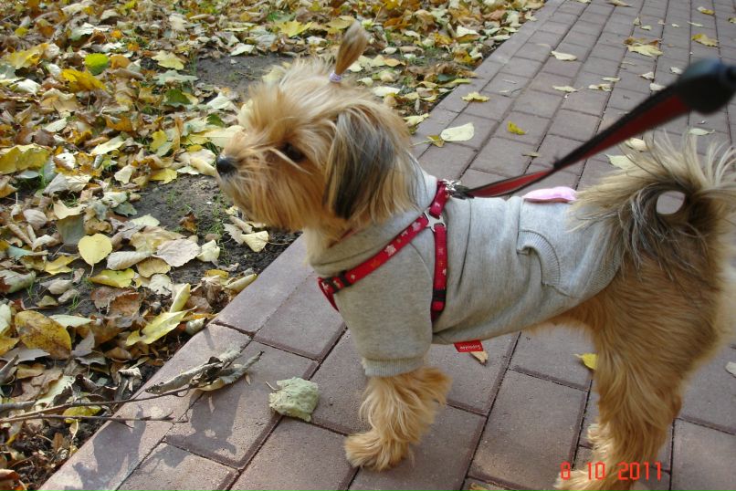 Иван Андреев фотография #1