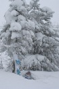 Фотография Христолюбской Анны