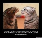 Фотография Весёловой Шуры