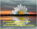 Вікторія Низик фотография #20 (источник - https://vk.com/id150684742)
