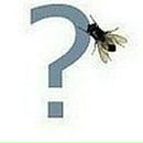 Фотография Грехова Александра